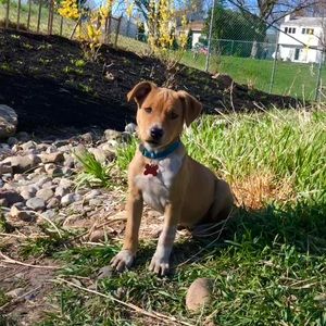 Meet your Posher, Hope